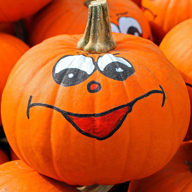 Love Pumpkin? Your Eyes Do Too – Tallahassee FL | The Focal Pointe